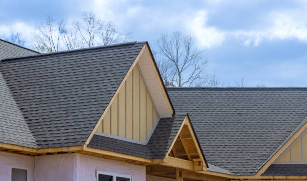 Best Rubber Roofing (EPDM, TPO)  in , IA